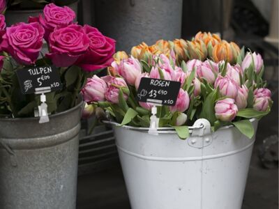 Pots de fleurs étiquetés avec des cartes